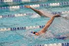 Swimming & Diving vs Babson  Swimming & Diving vs Babson College. - Photo by Keith Nordstrom : Wheaton, Swimming